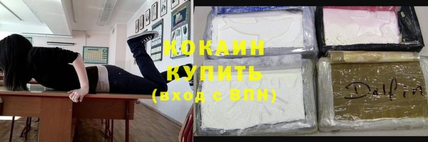 сатива Алзамай