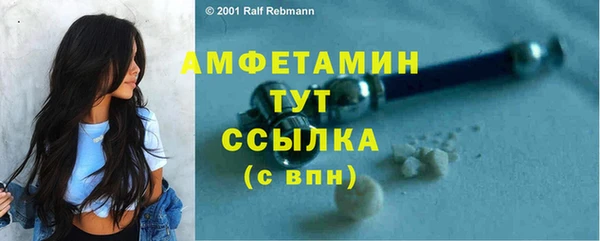 сатива Алзамай