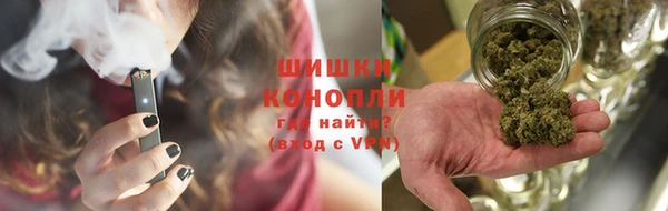 сатива Алзамай
